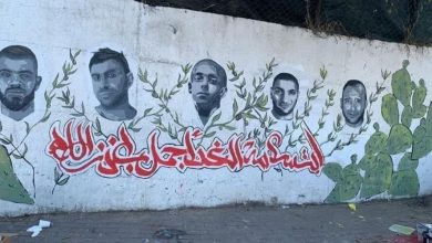 Photo of أم الفحم: مستعربون يزيلون جدارية لشهداء أم الفحم