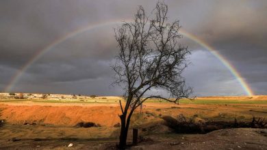 Photo of حالة الطقس: غائم جزئيا إلى صاف