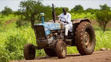 Photo of عقبات اقتصادية وسياسية.. مزارعو السودان أمام شتاء صعب