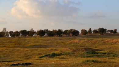 Photo of حالة الطقس: انخفاض على درجات الحرارة.. وتوقع زخات من المطر