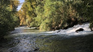 Photo of حالة الطقس: انخفاض في درجات الحرارة وأمطار محلية بعد الظهر