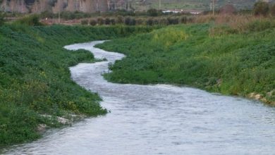 Photo of حالة الطقس: انخفاض في درجات الحرارة وأمطار محلية