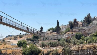 Photo of جسر معلق جنوب الأقصى: مشروع استيطاني يقضم أراضي الفلسطينيين