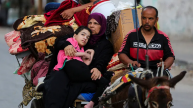 Photo of %90 من أهالي غزة عانوا النزوح و110 آلاف غادروا إلى مصر