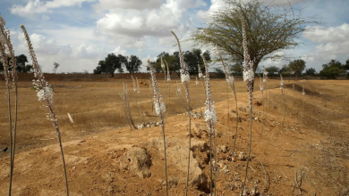 Photo of حالة الطقس: أجواء خريفية وأمطار محلية في بعض المناطق