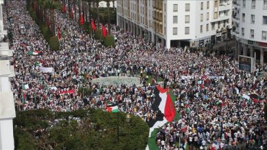 Photo of هيئة مغربية: نظمنا 817 فعالية تضامنية مع غزة منذ اندلاع الحرب