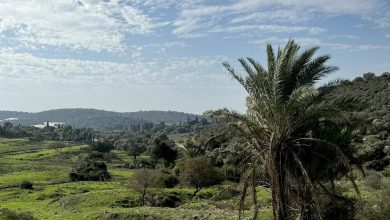 Photo of حالة الطقس: غائم جزئيا وارتفاع طفيف في درجات الحرارة