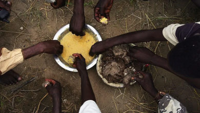 Photo of مقتل أكثر من 25 سودانيا وإصابة العشرات في هجوم لقوات الدعم السريع.. “المجاعة مستمرة”