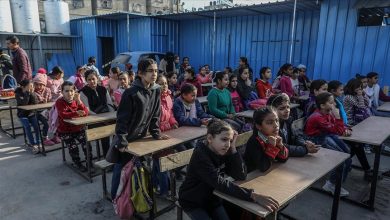 Photo of مقررة أممية: تعافي التعليم بغزة منوط بإنهاء الحرب والاحتلال
