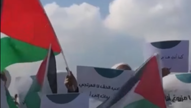 Photo of وقفة تضامنية في ساحة الأمويين رفضًا لتهجير الفلسطينيين (شاهد)