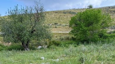 Photo of حالة الطقس: غائم جزئيا إلى صاف